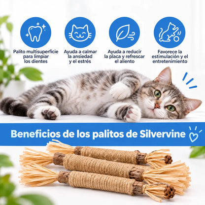 Vidatabi – Palitos Dentales Naturales para Gatos