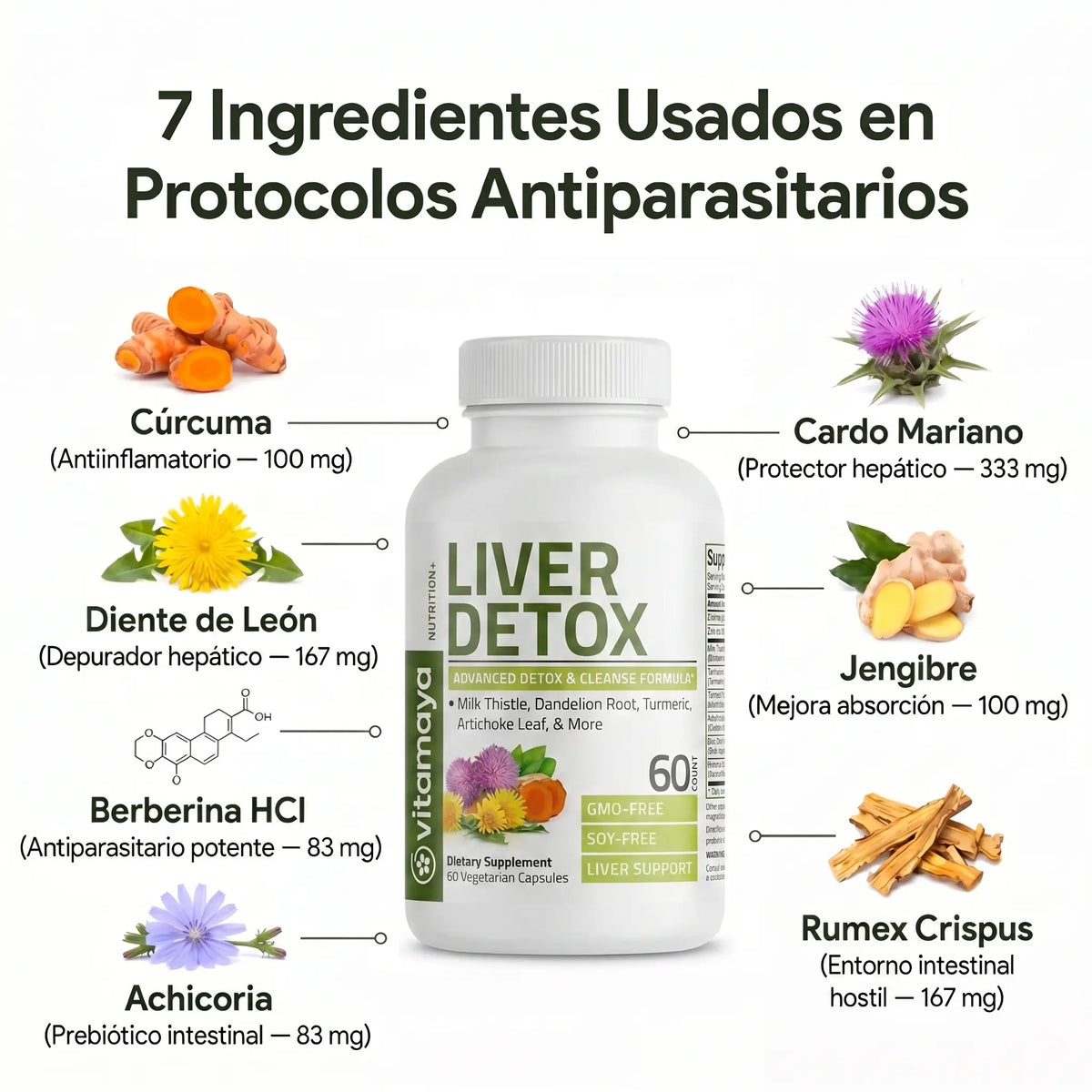 RejuvaVida - Elimina los parásitos intestinales en 21 días
