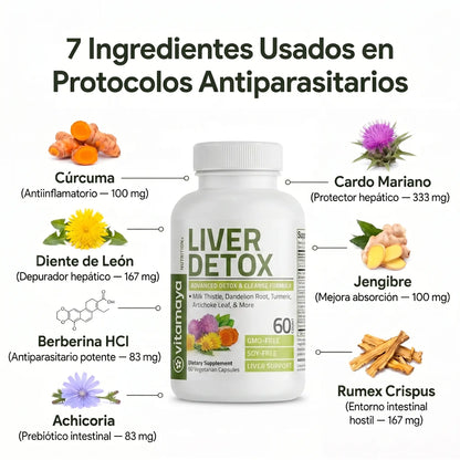 RejuvaVida - Elimina los parásitos intestinales en 21 días