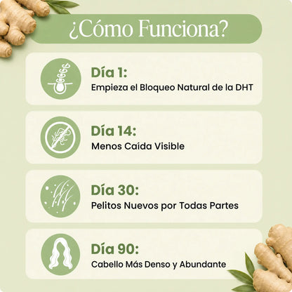 Menos caída del cabello en 26 días o menos